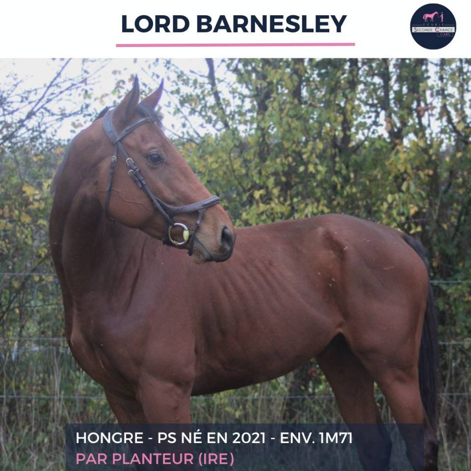 LORD BARNSLEY - PS - 4 ANS