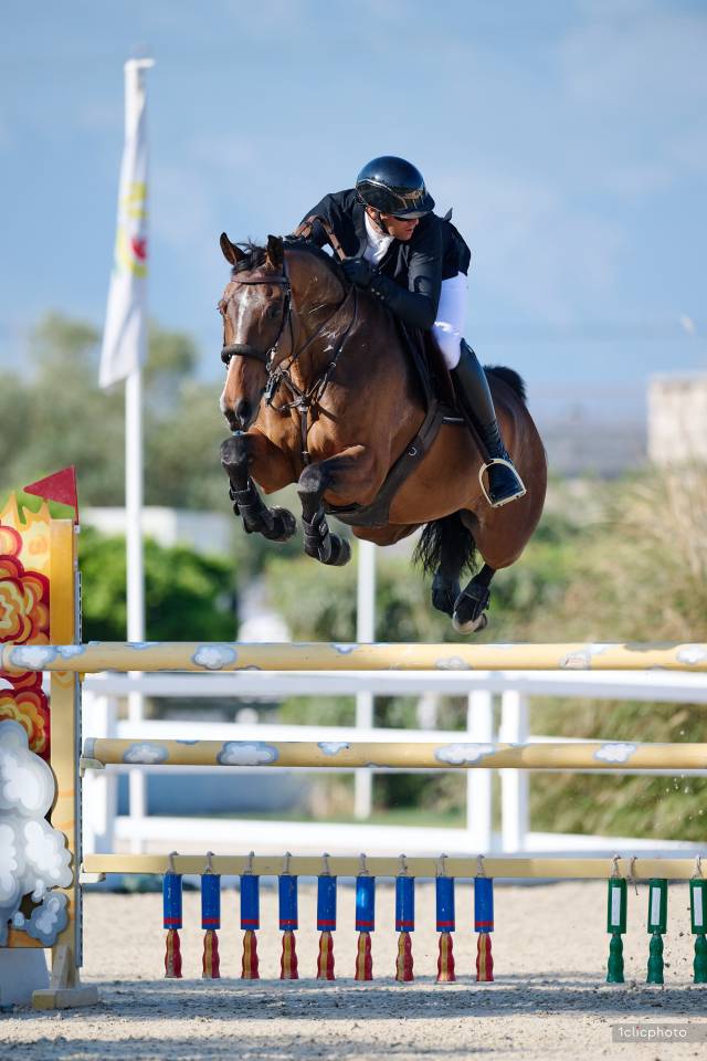 Cheval d'expérience