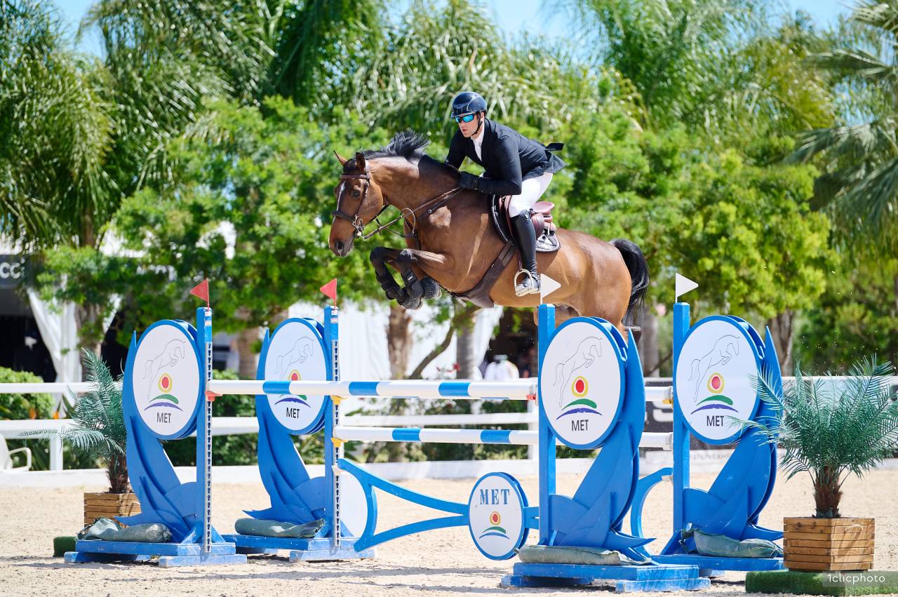 Cheval d'expérience