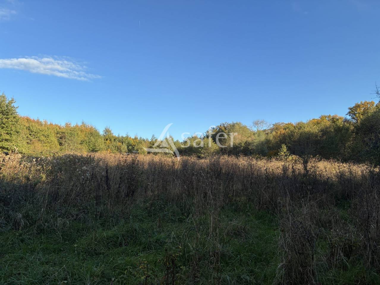 Propriété rurale sur 13 ha - Haute-Saône