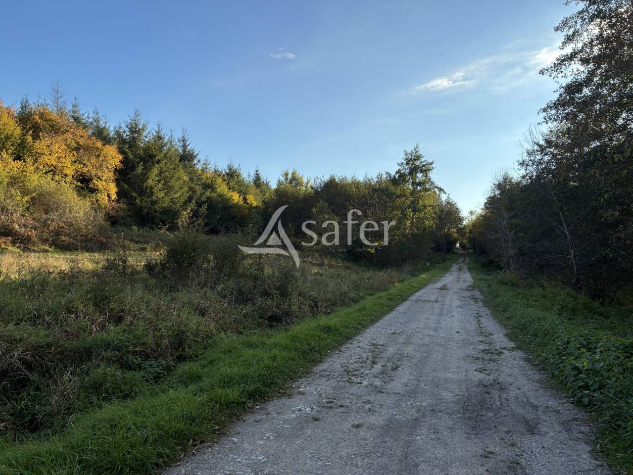 Propriété rurale sur 13 ha - Haute-Saône