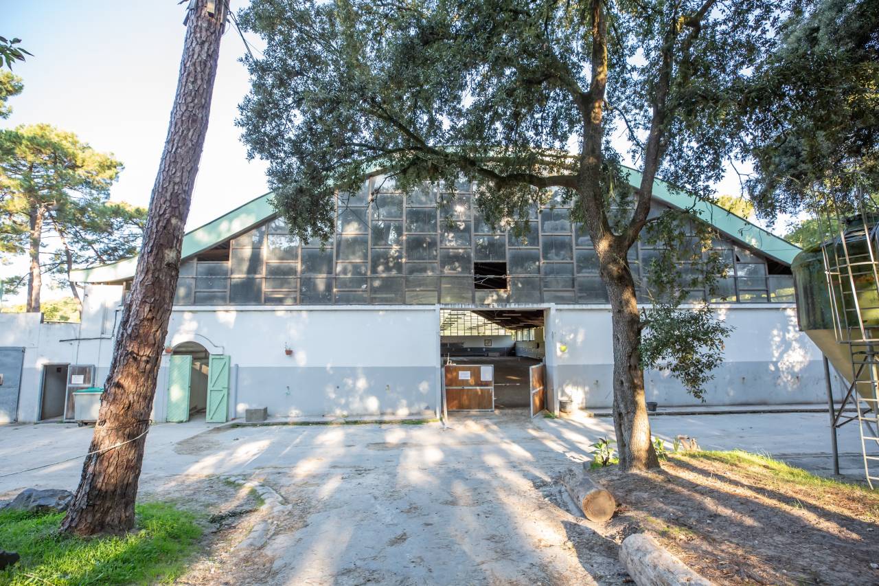 VENTE CENTRE EQUESTRE DE ROYAN