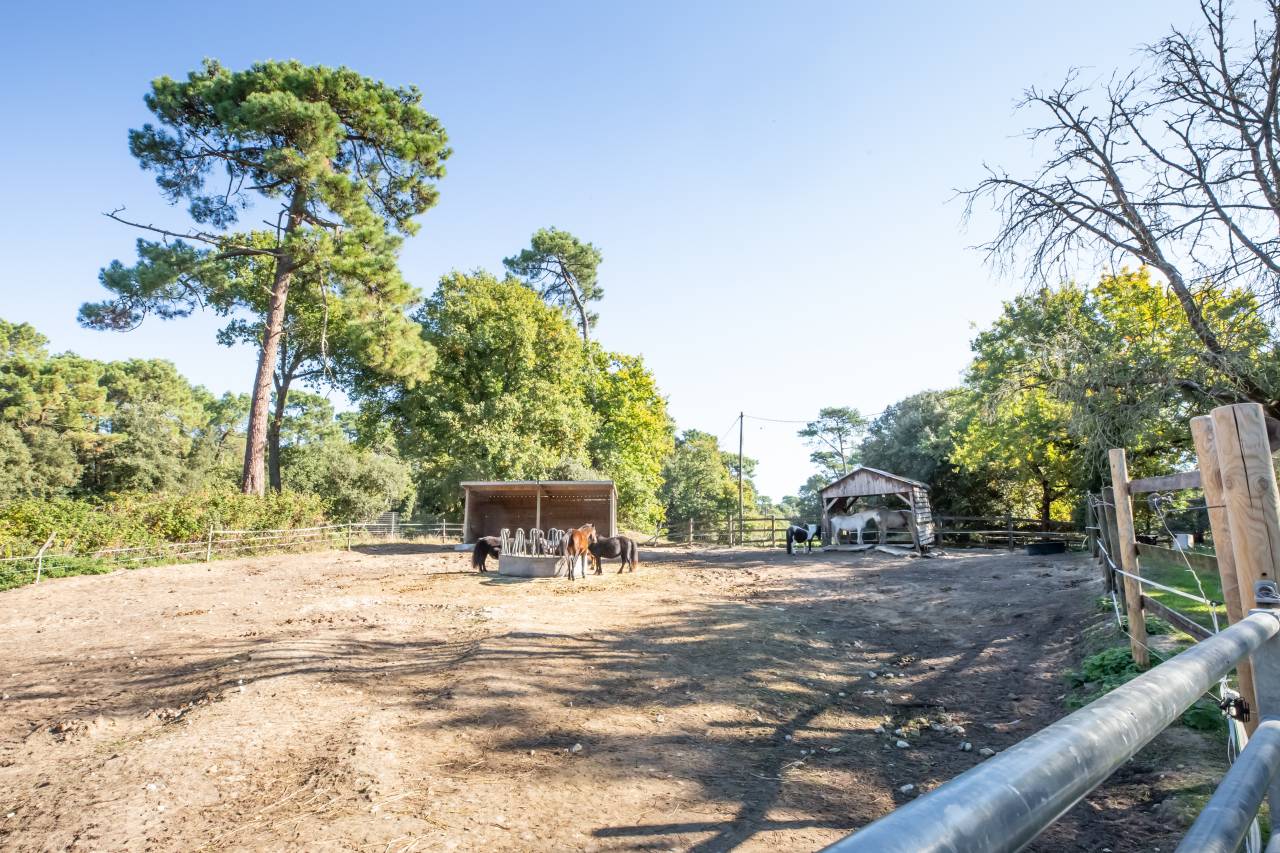 VENTE CENTRE EQUESTRE DE ROYAN