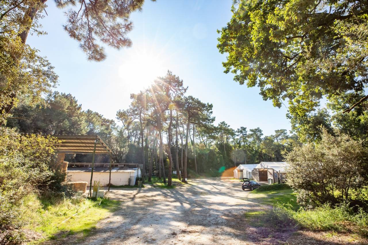 VENTE CENTRE EQUESTRE DE ROYAN