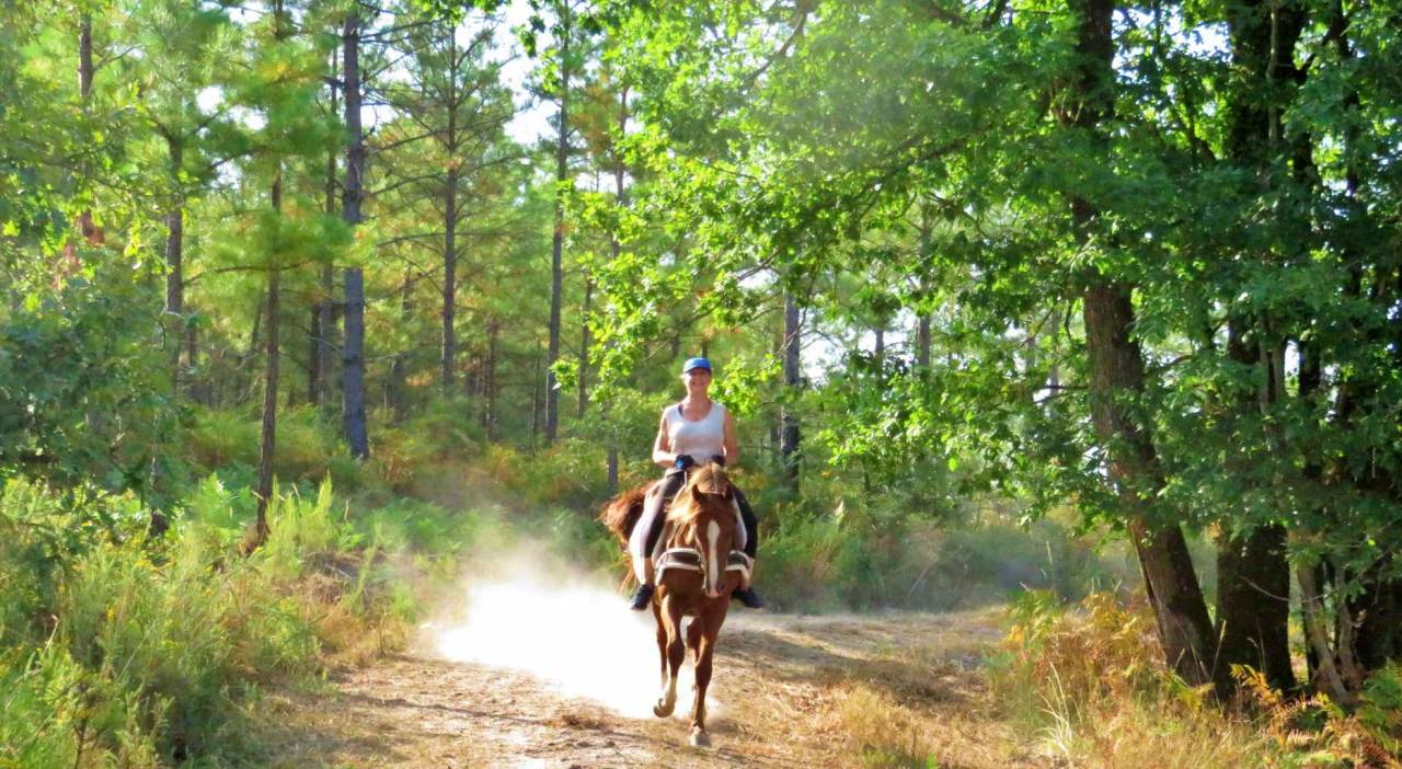 Le Relais de La Jemaye