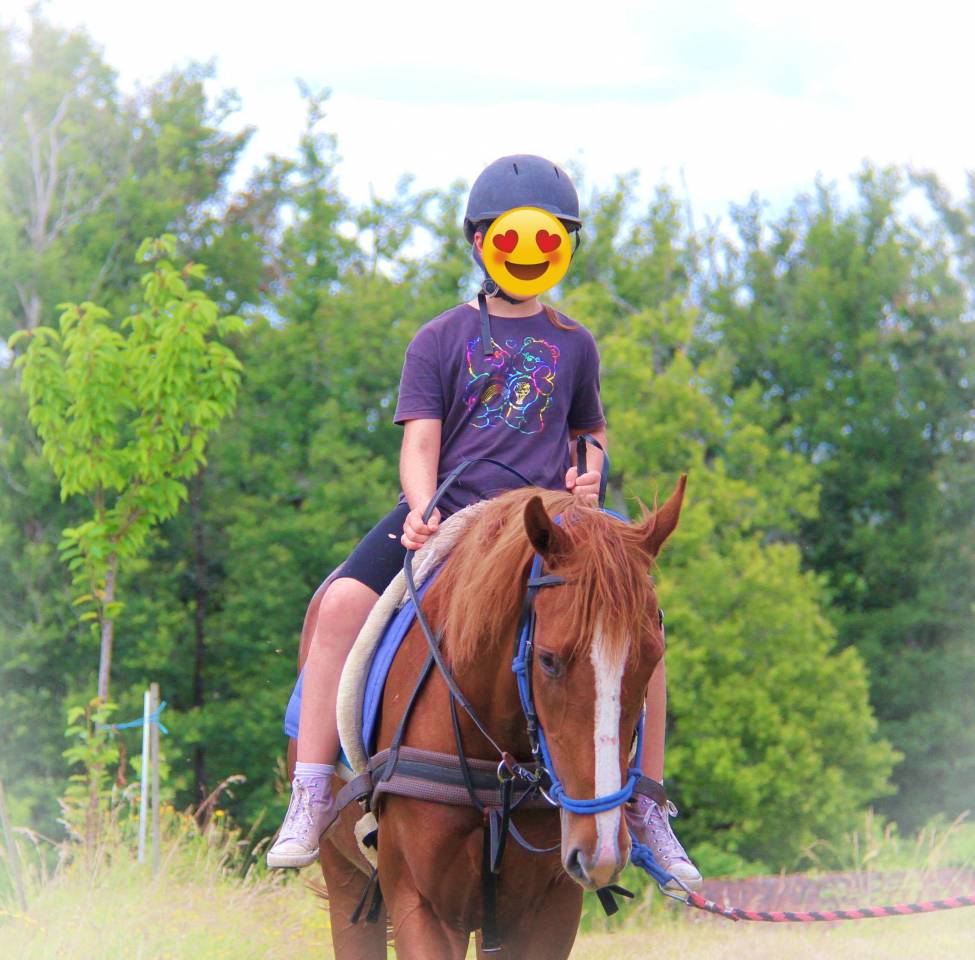 Le Relais de La Jemaye