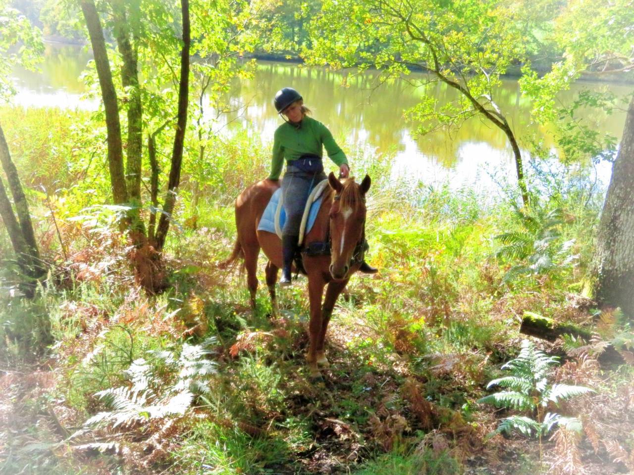 Le Relais de La Jemaye