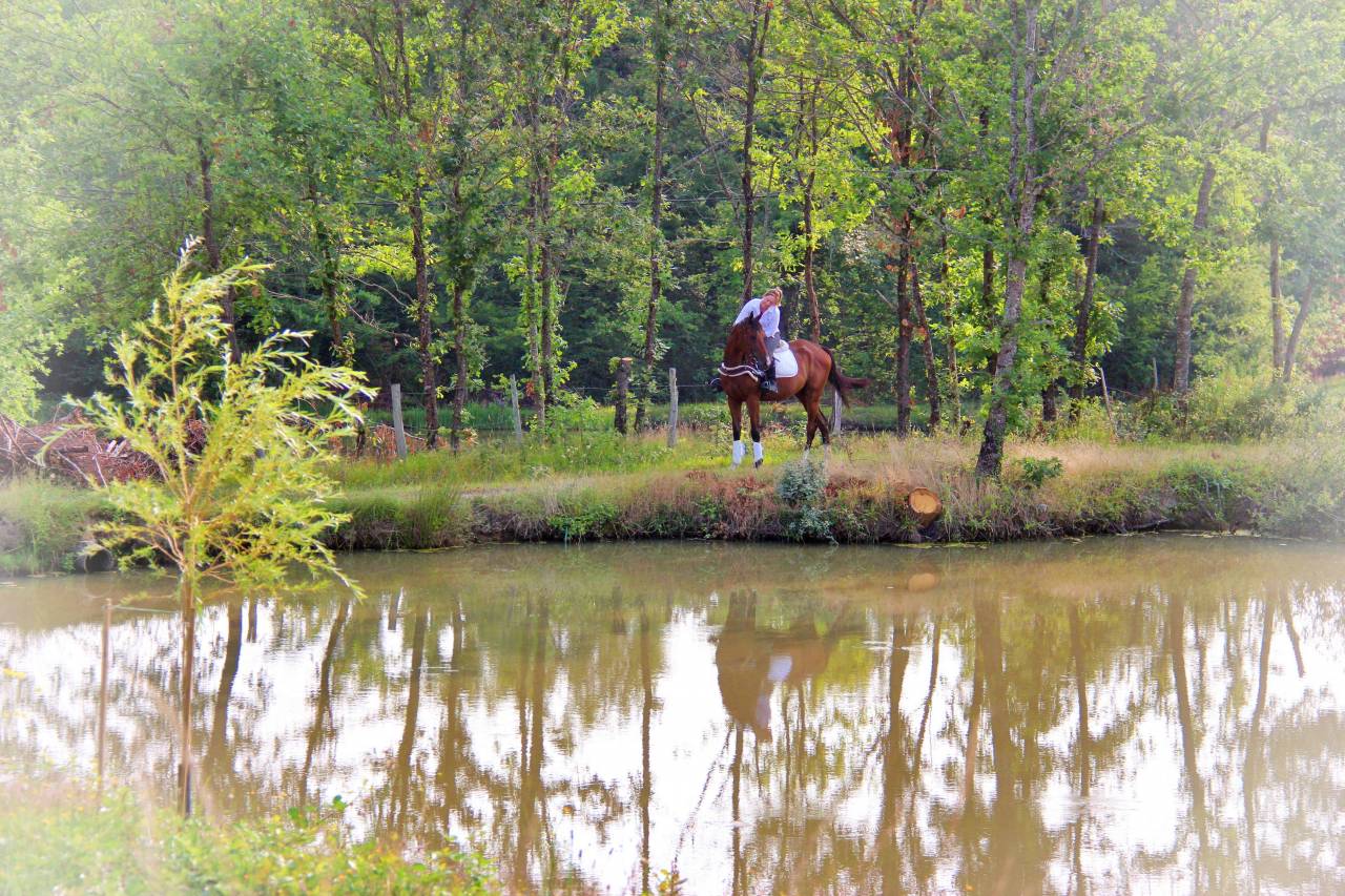 Le Relais de La Jemaye