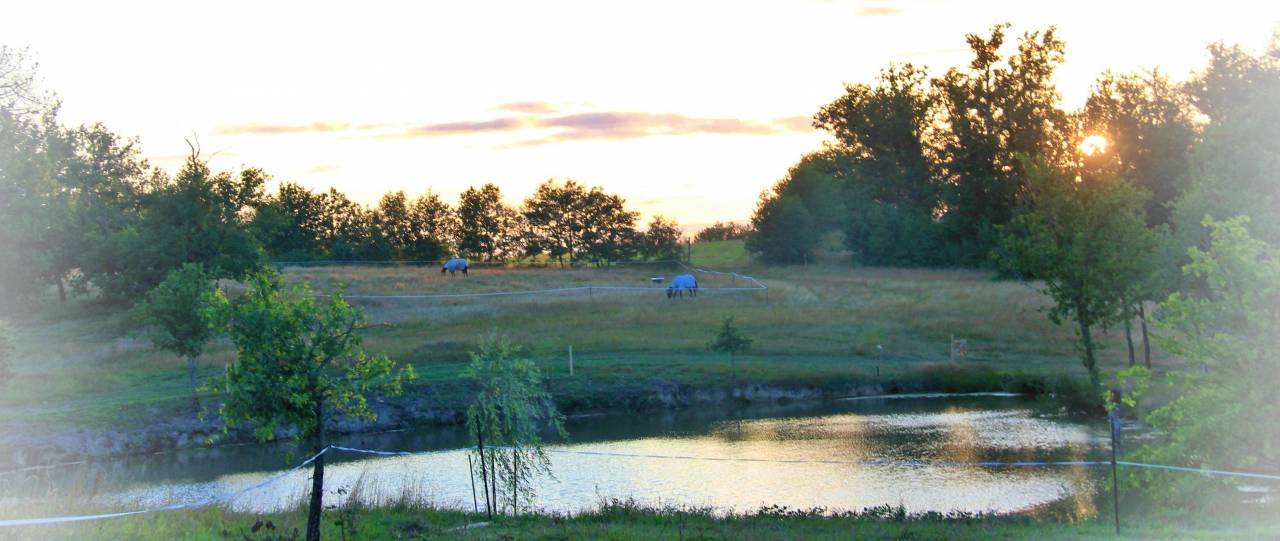 Le Relais de La Jemaye