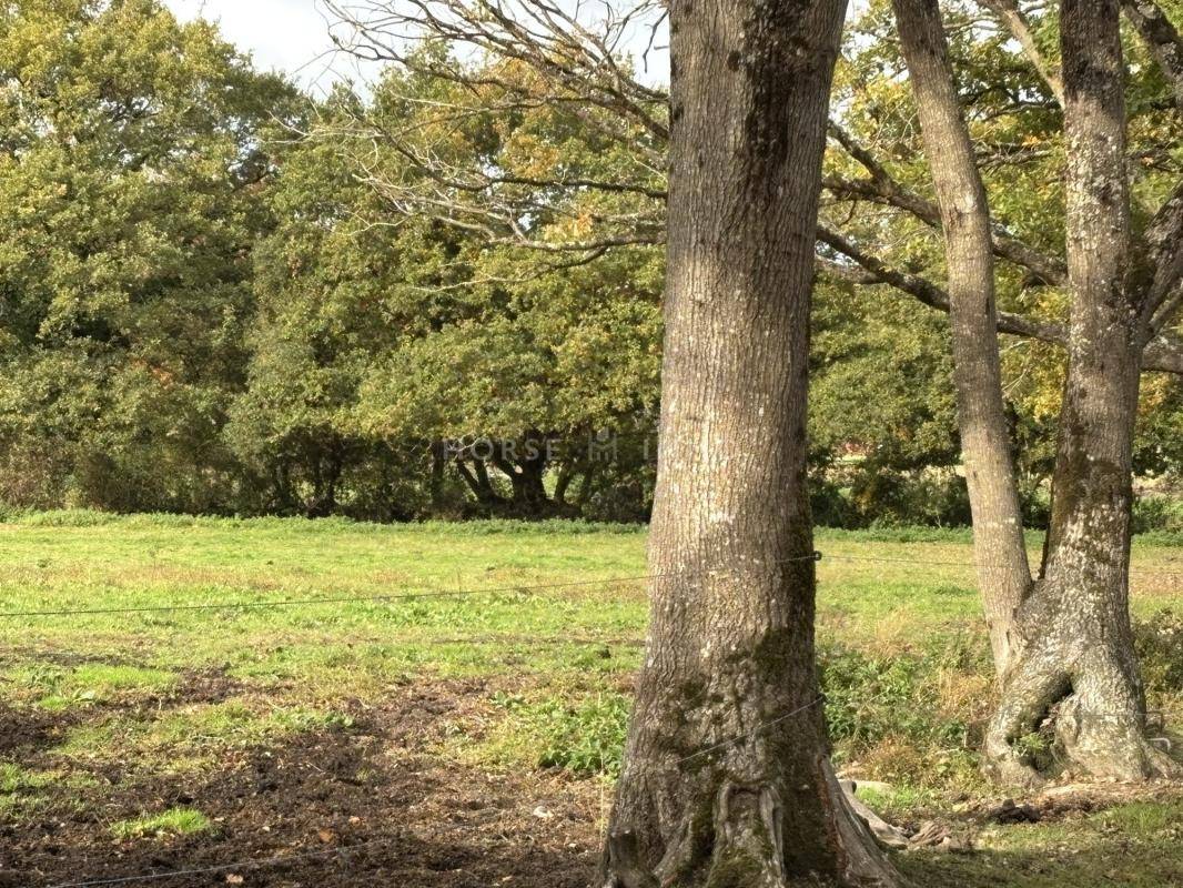 Centre équestre opérationnel - 15 ha à proximité de Nantes