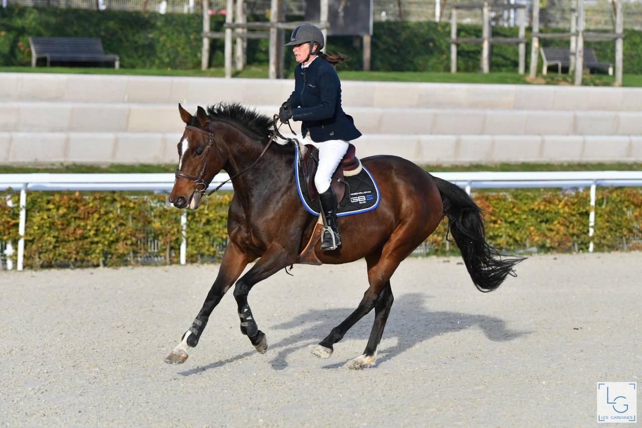 Top jument &agrave; vendre 