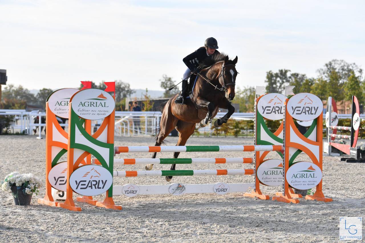 Top jument &agrave; vendre 