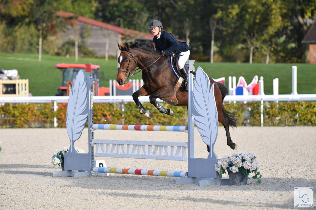 Top jument &agrave; vendre 