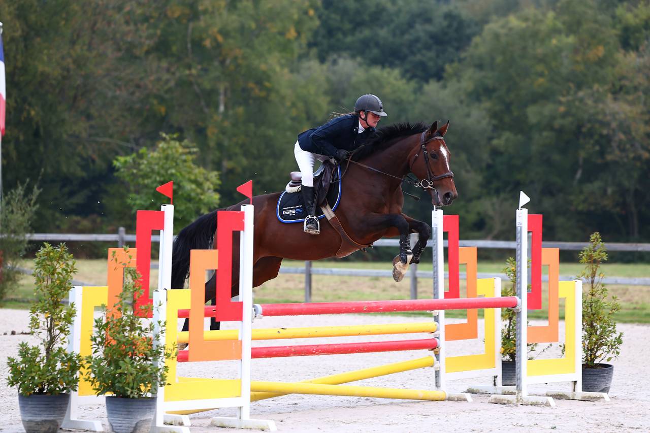 Top jument &agrave; vendre 