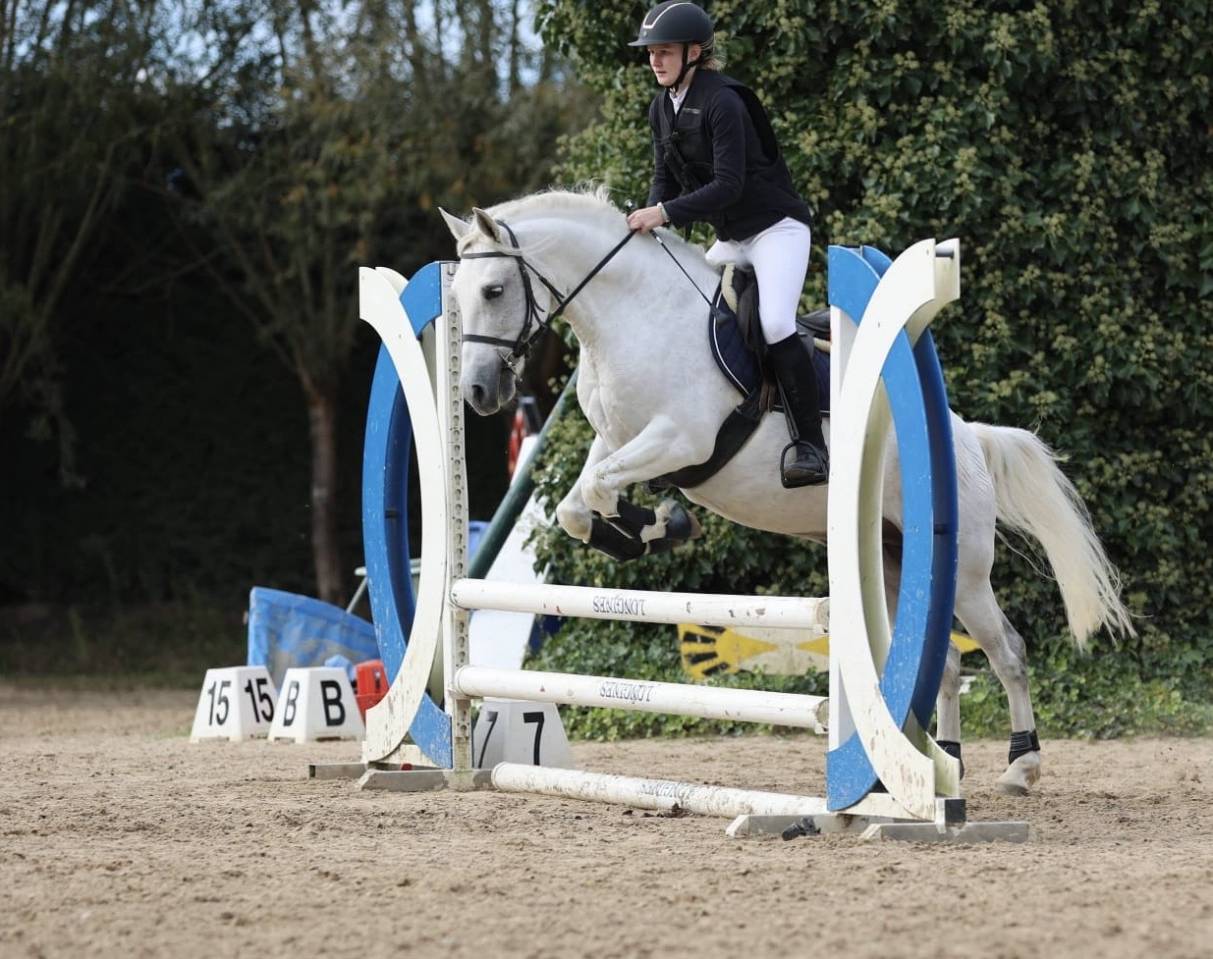 Super poney cherche sa famille 