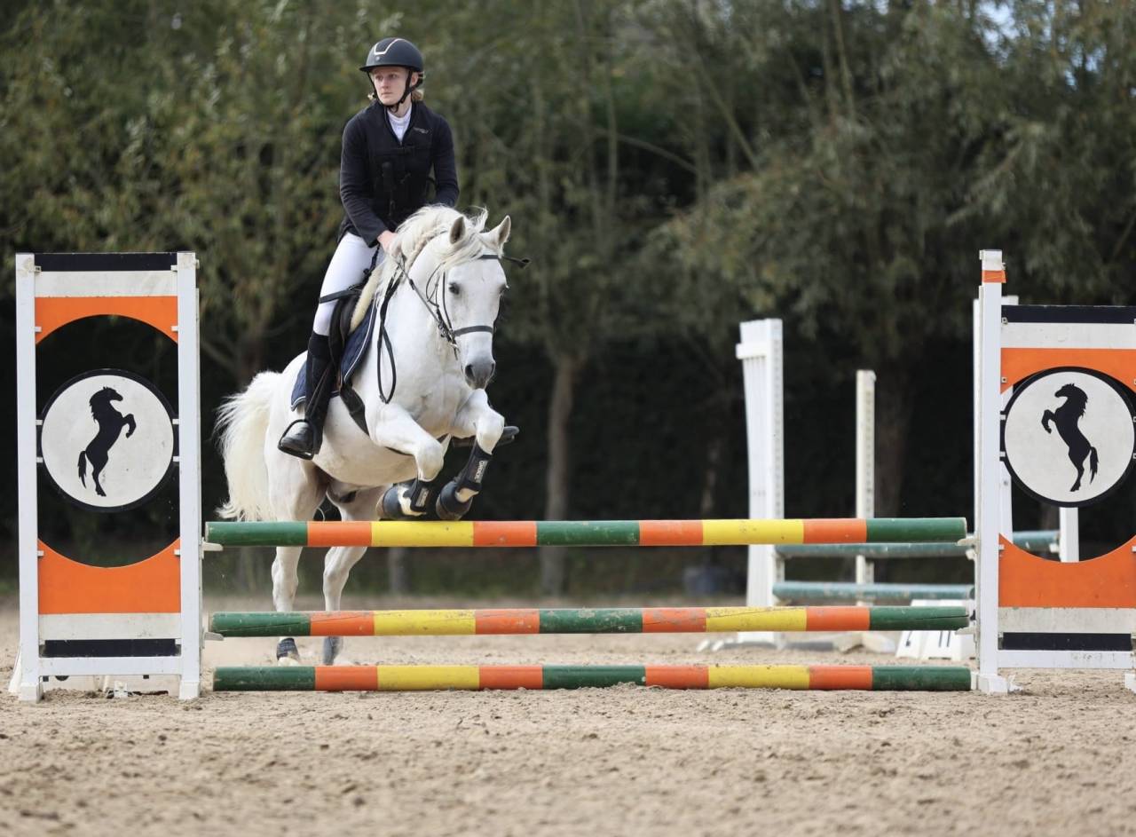 Super poney cherche sa famille 