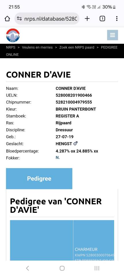 Hongre 6 ans NRPS apallosa