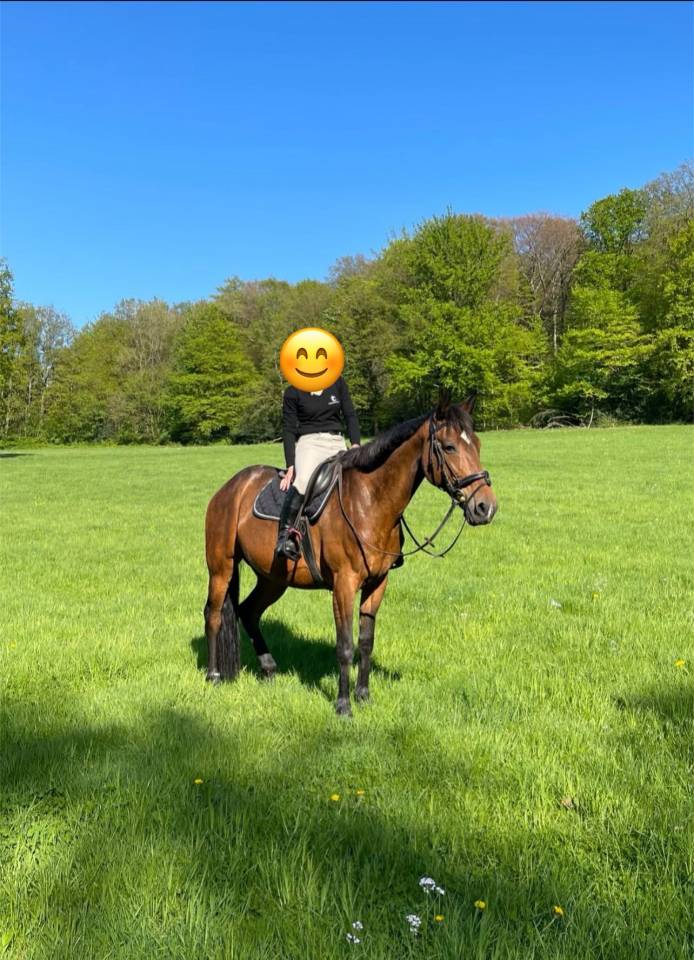  Apple Dream - Jument de balade trotteuse