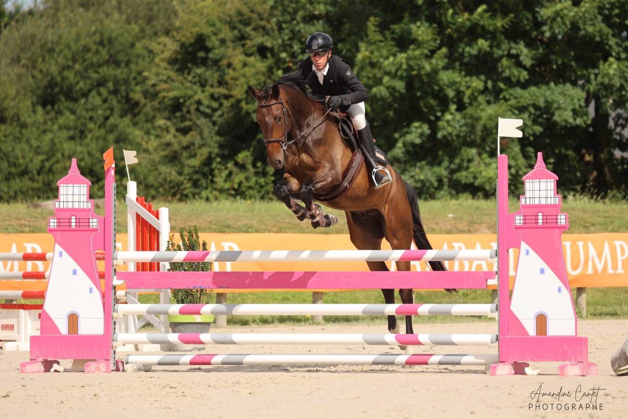 Prometteur hongre de 4 ans par Conthargos x Diamant 