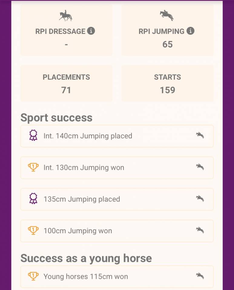 Oldenburg-International (OS), Gelding, 14 ans