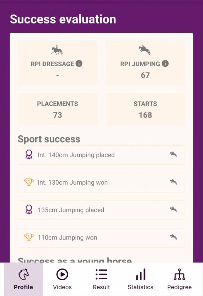 Oldenburg-International (OS), Gelding, 14 ans