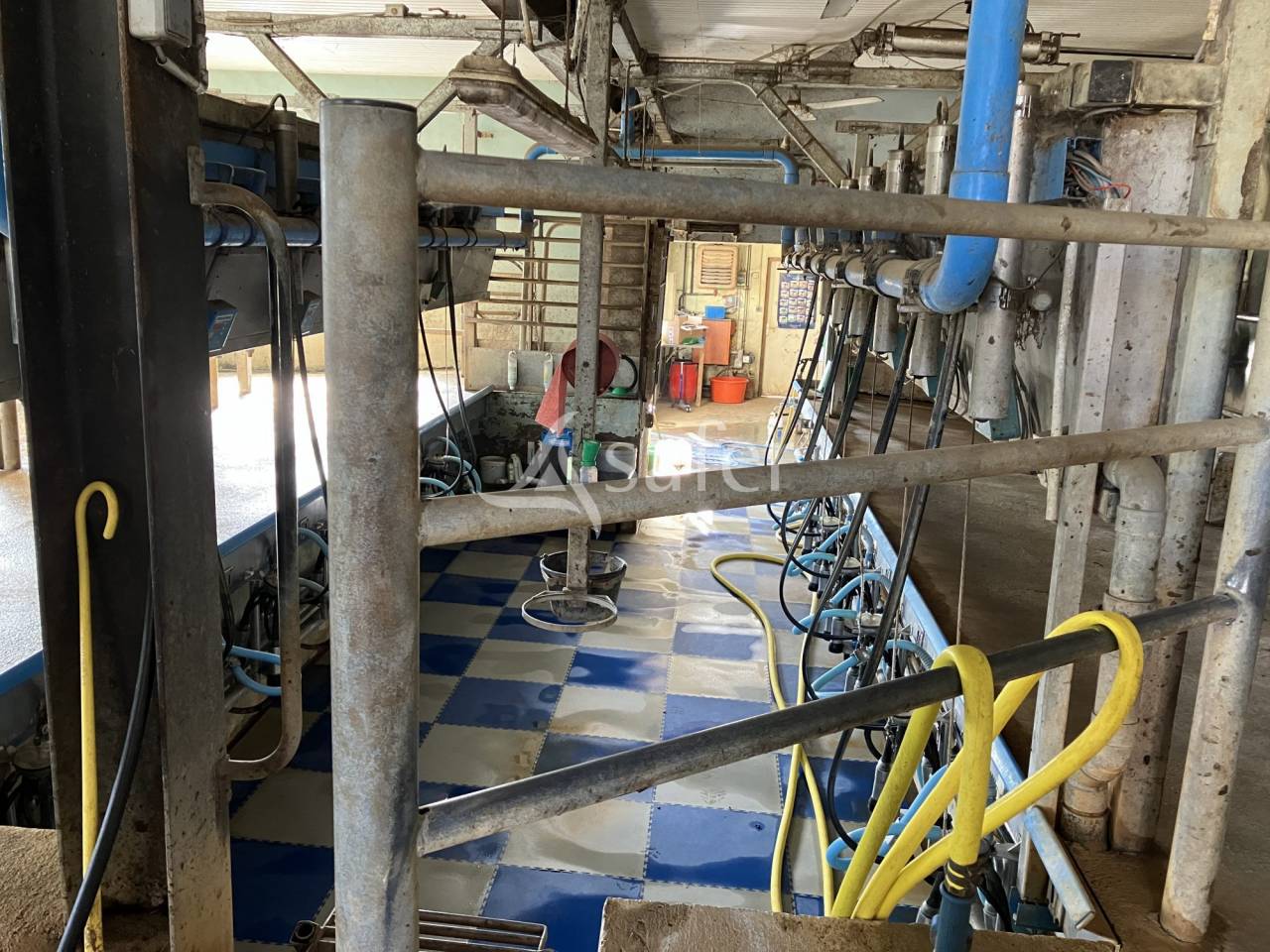 Exploitation laitière 170 ha