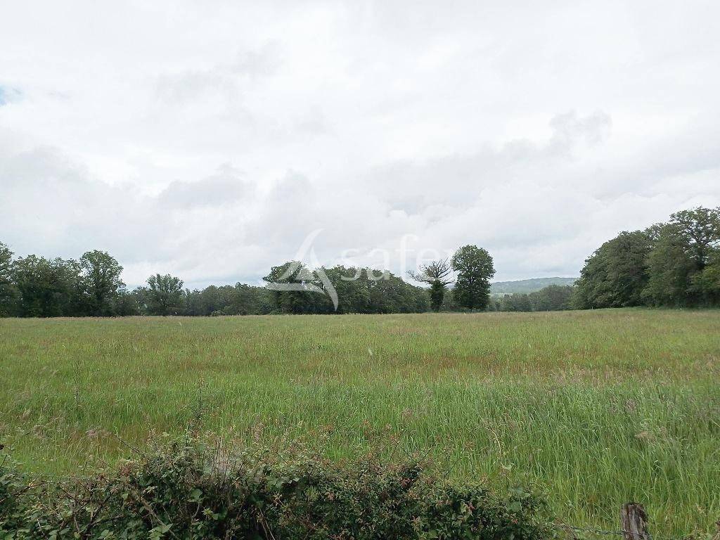 Ensemble foncier d'environ 4 hectares.