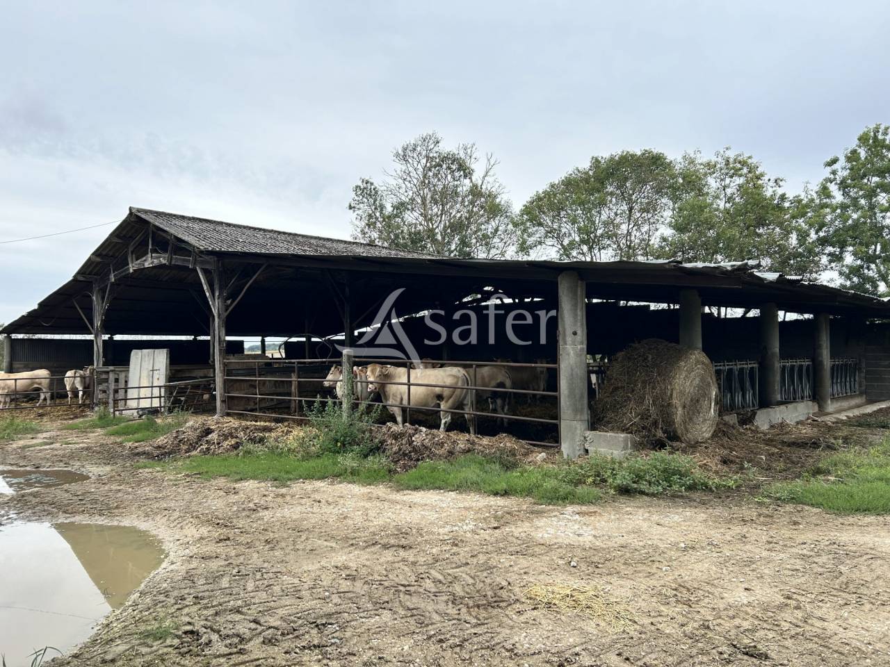Propriété agricole sur 35ha