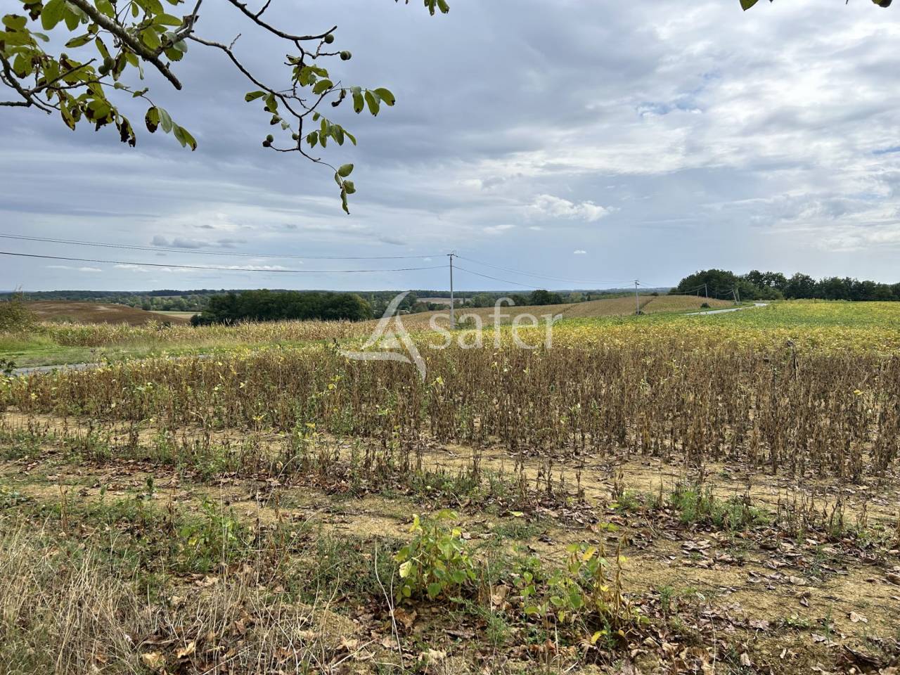 Propri&eacute;t&eacute; agricole sur 35ha