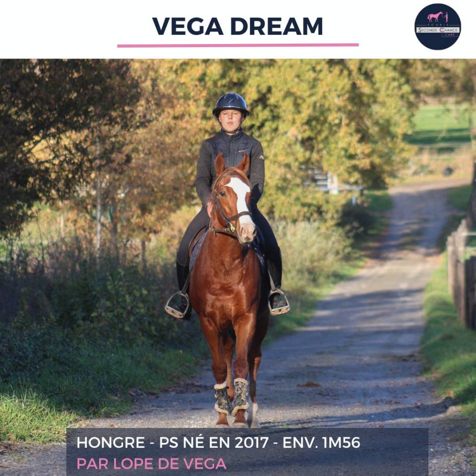 VEGA DREAM - PS - 8 ANS