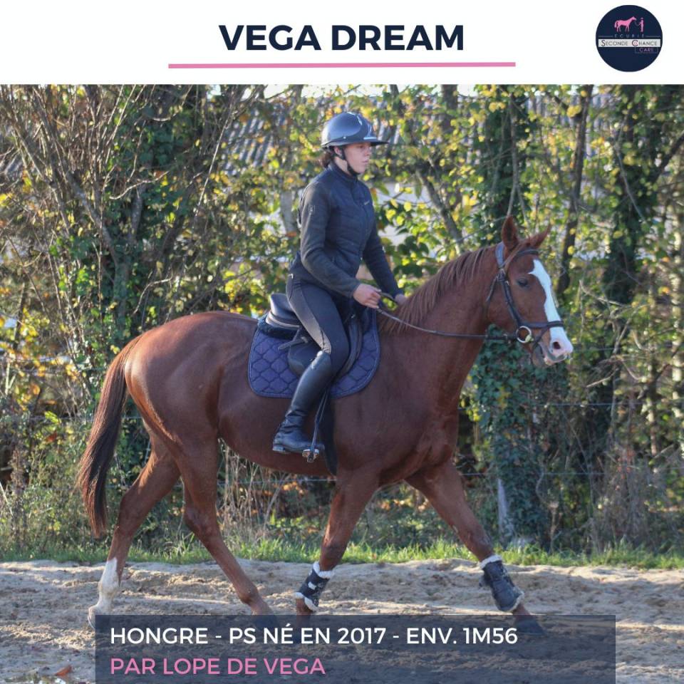 VEGA DREAM - PS - 8 ANS