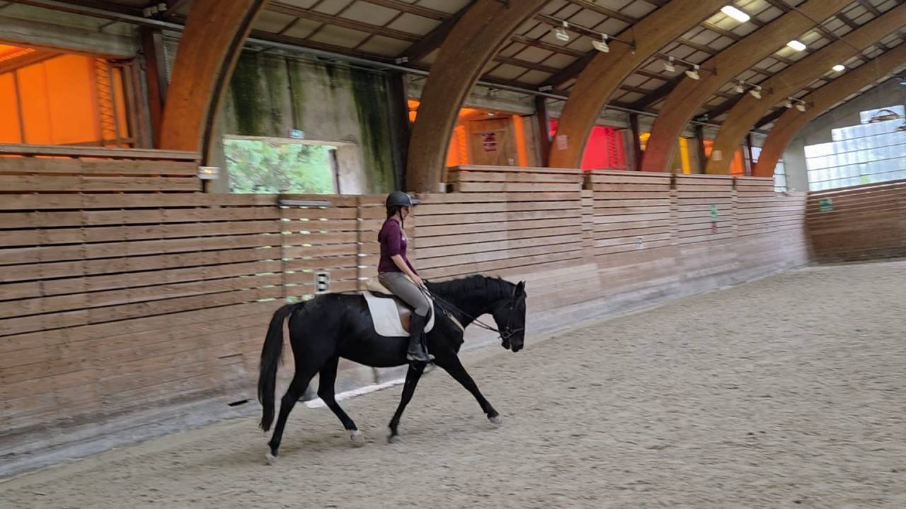 Soigneuse - cavali&egrave;re - gardiennage