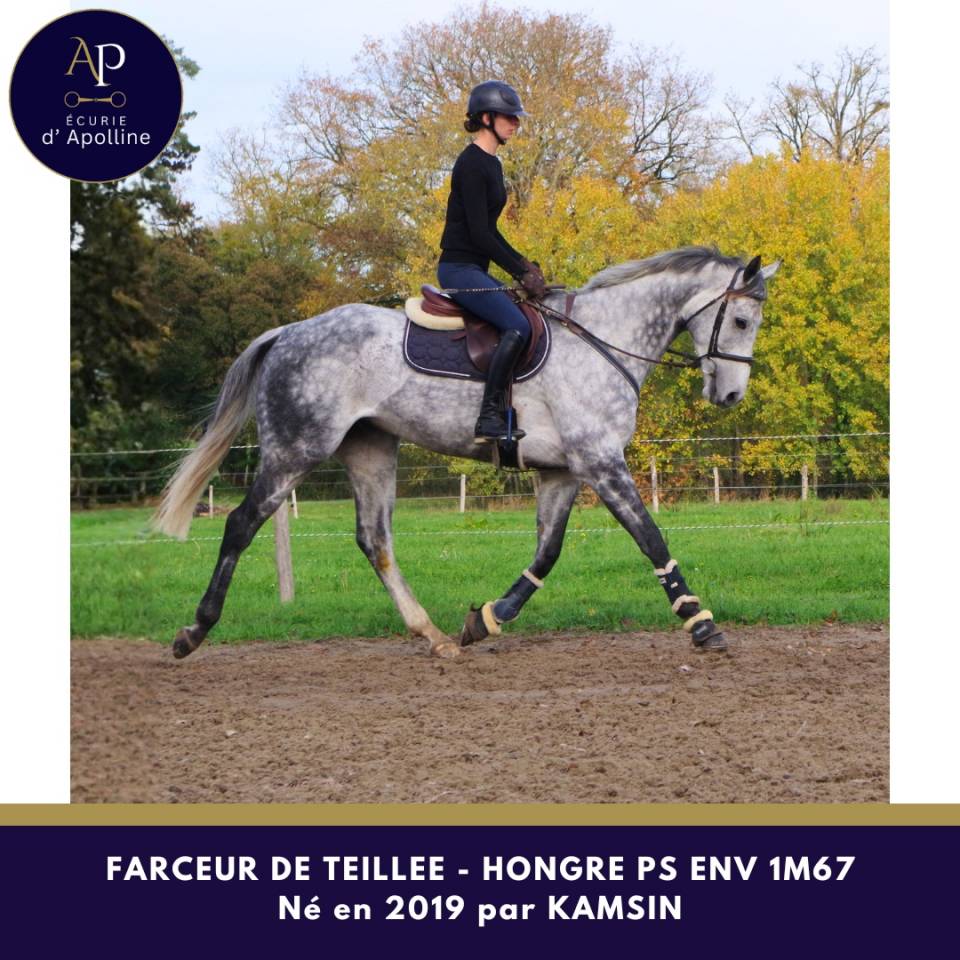 Magniofique 6 ans env 1m67