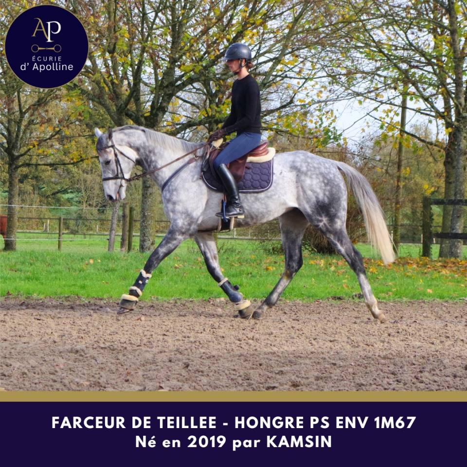 Magniofique 6 ans env 1m67