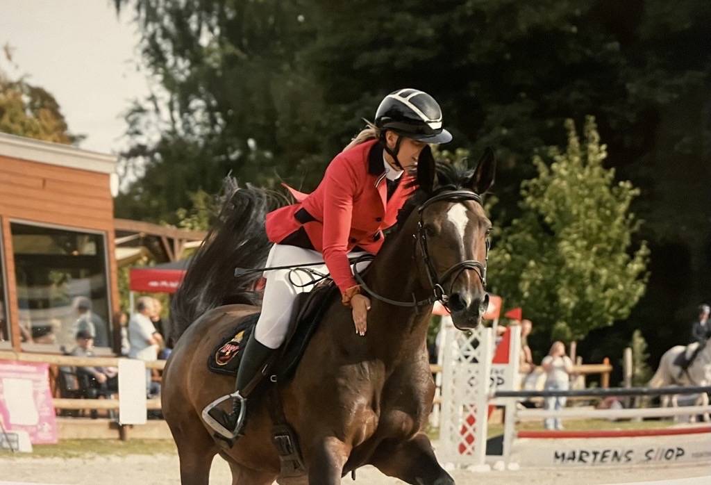 Pension Travail – Débourrage, Valorisation & Coaching 