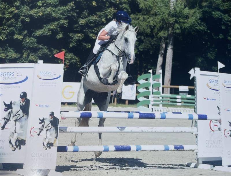 Pension Travail – Débourrage, Valorisation & Coaching 