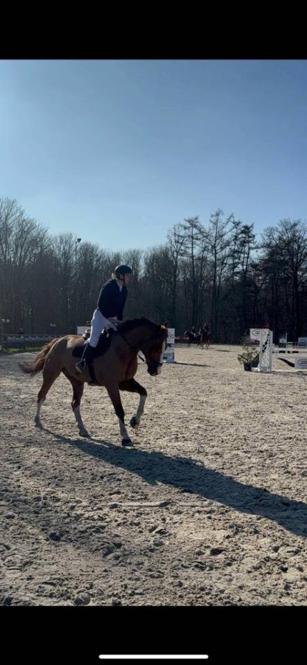 Pension Travail – Débourrage, Valorisation & Coaching 