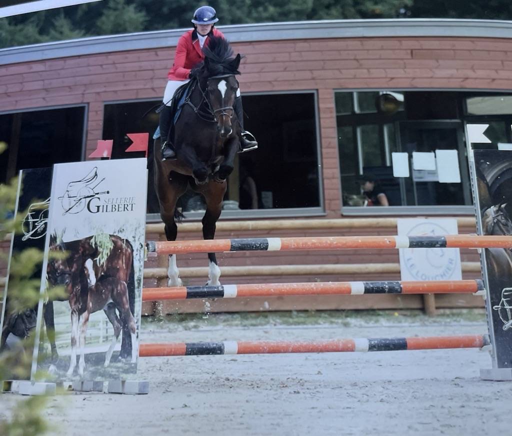 Pension Travail – Débourrage, Valorisation & Coaching 