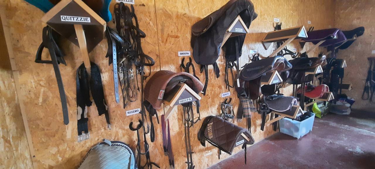 NIORT - Structure dédiée à l'équitation sur 3,8 ha