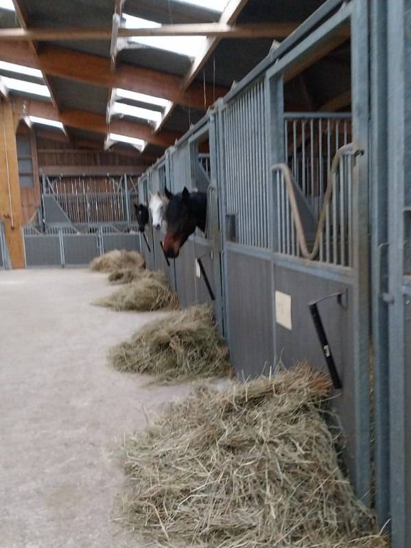 NIORT - Structure dédiée à l'équitation sur 3,8 ha