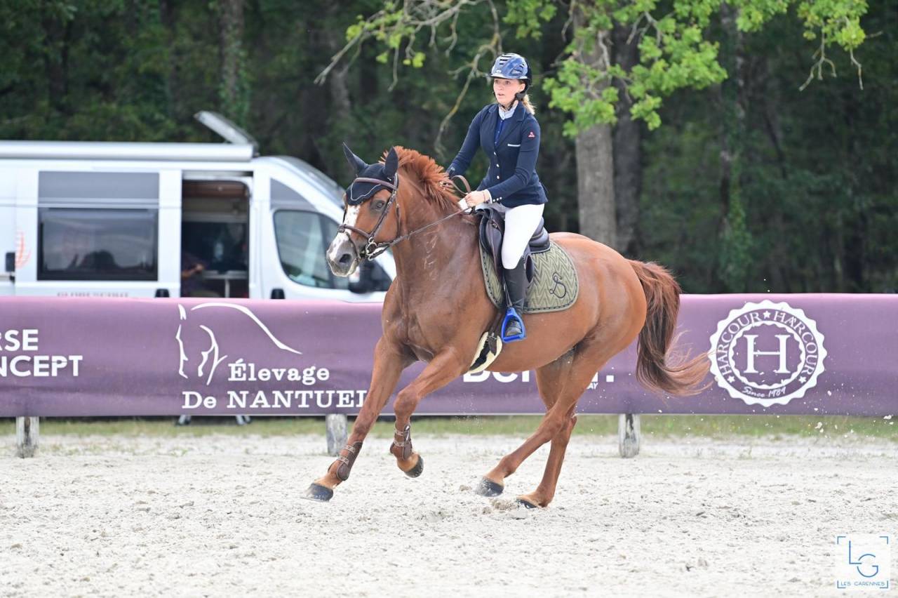 JUMENT 14 ANS SELLE FRANCAIS