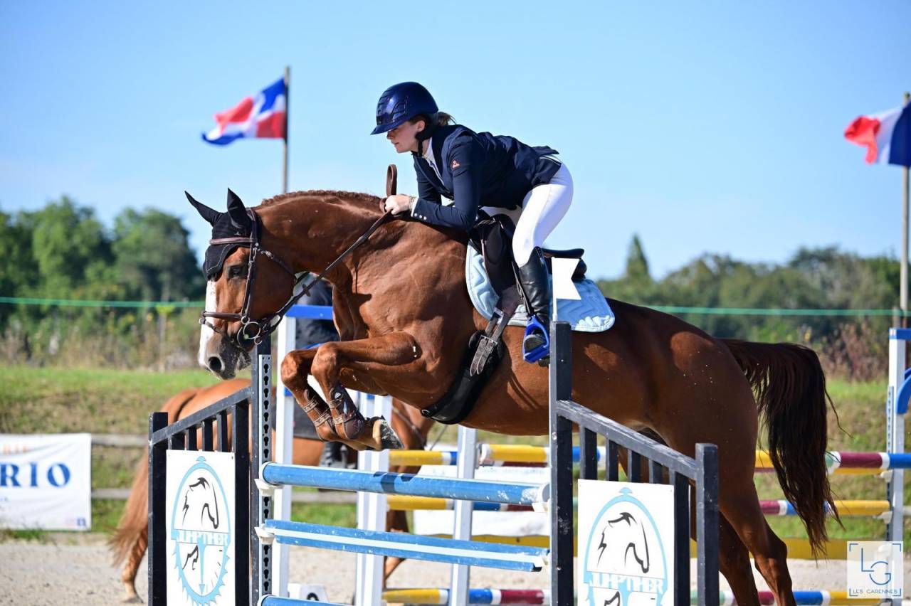 JUMENT 14 ANS SELLE FRANCAIS