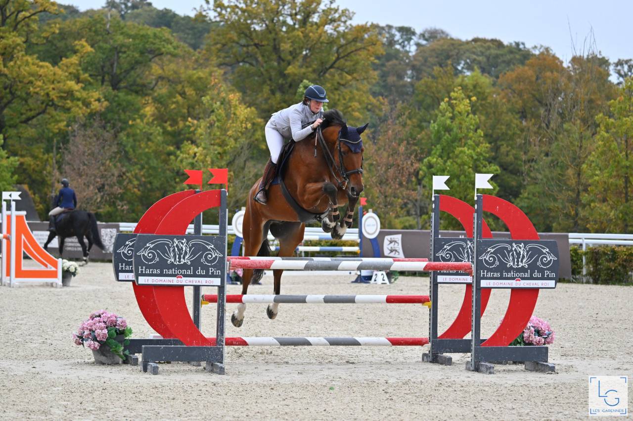 Hongre pour amateur élite 9 ans