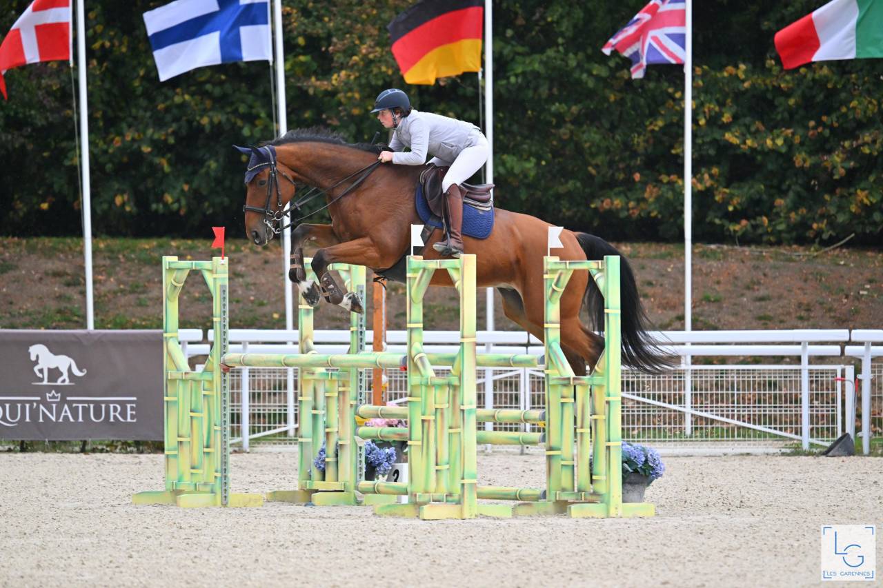 Hongre pour amateur élite 9 ans