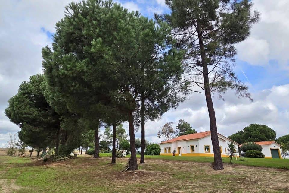 Quinta Équestre de 6,3ha - Portugal 