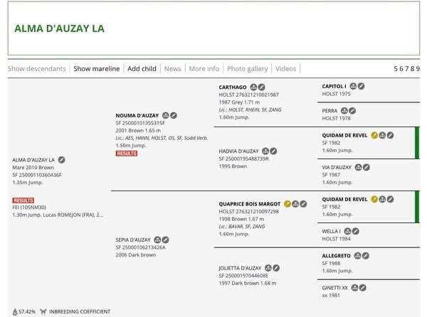 Poulinière ALMA D'AUZAY LA pleine de Untouchable 27 