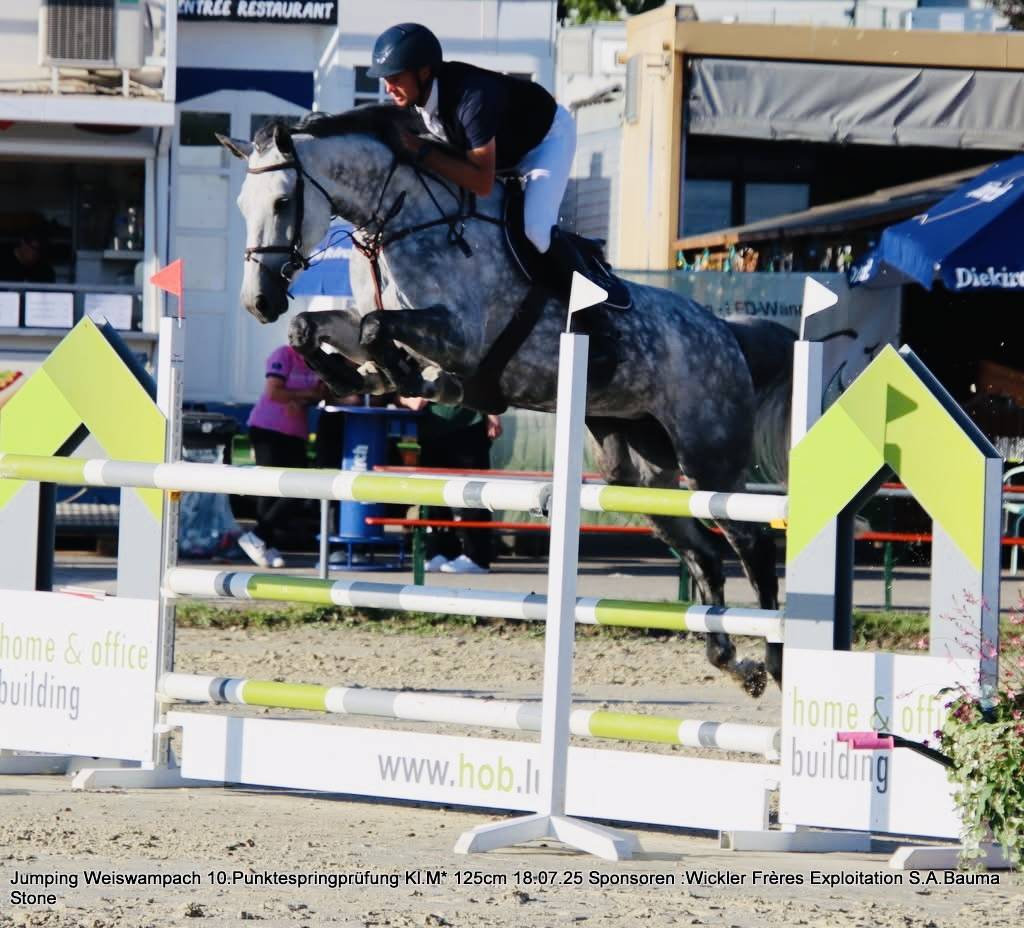 Belle grande jument 7 ans 