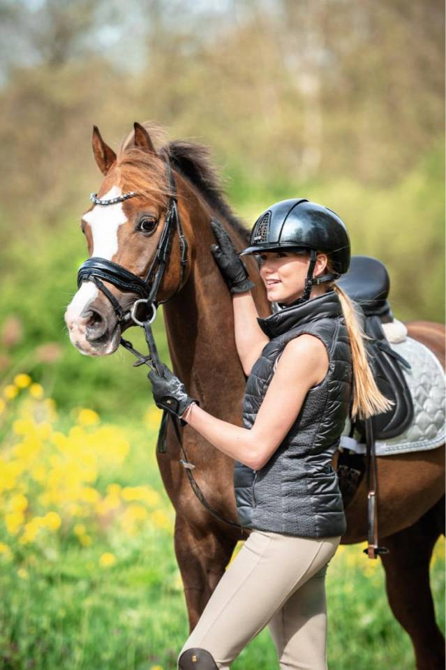 Hongre Welsh Poney (Section D), Welsh Cob  A vendre 2015 Alezan brulé par King William