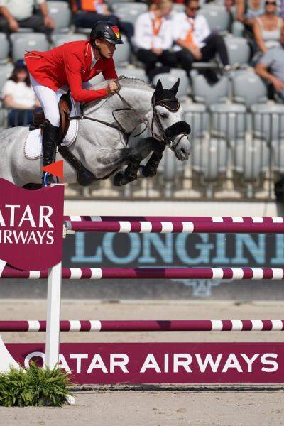 Pouliche robe grise de 18 mois Zangersheide