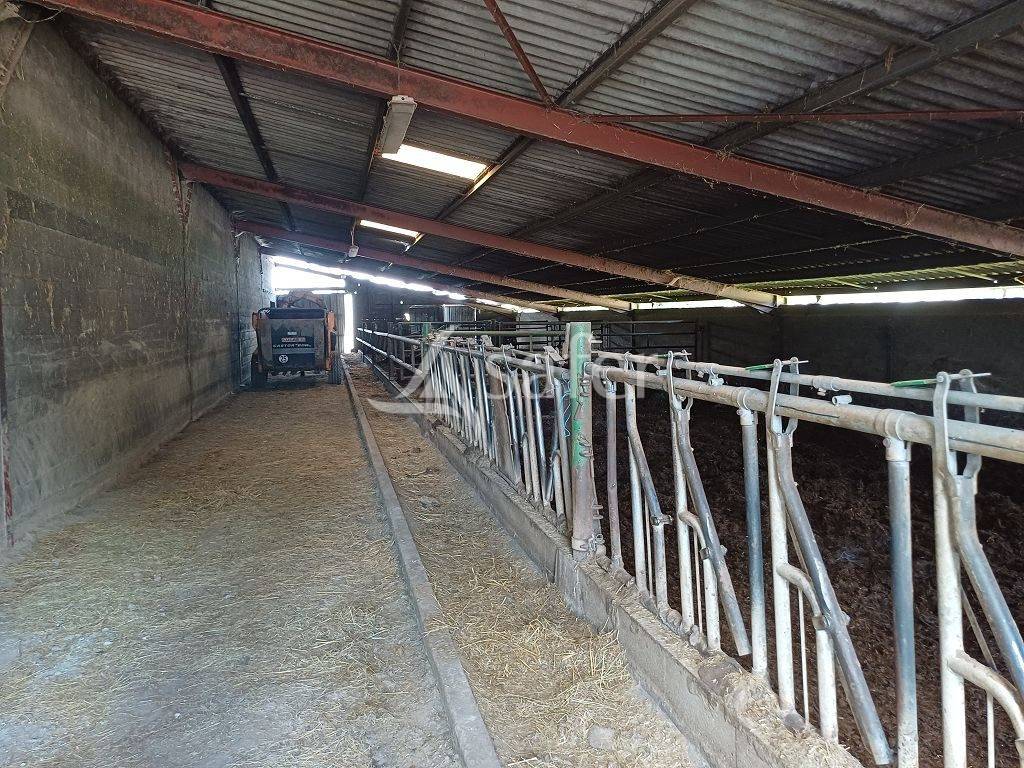 Propriété d'élevage très bien groupée sur 127,5 ha